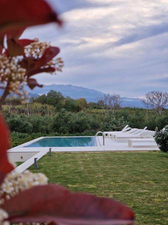 Mikro Livadi Special - Has An Eco Salt Water Pool - 150m From The Lodge *