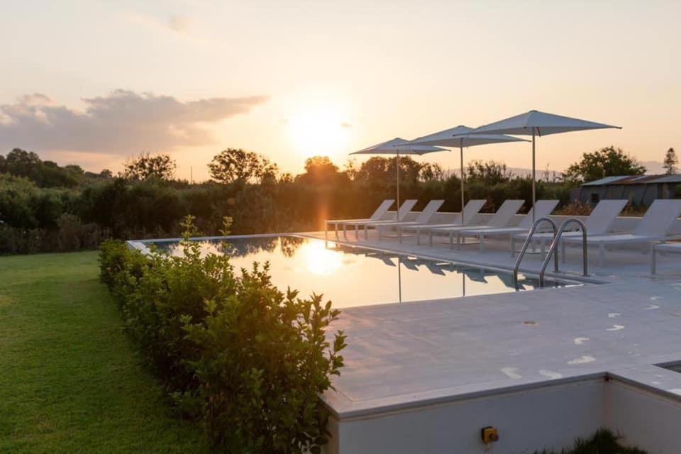 Mikro Livadi Special - Has An Eco Salt Water Pool - 150m From The Lodge